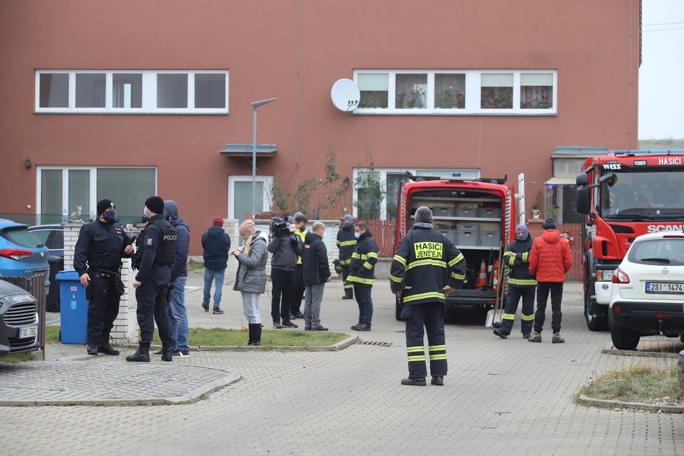 V Jenštejně nedaleko Prahy uštknul jedovatý had šestiletou holčičku. Podle odborníka se může jednat o chřestýše nebo zmiji.  Místní, hasiči i policie po něm od pátku pátrali na zahradách i v domech.