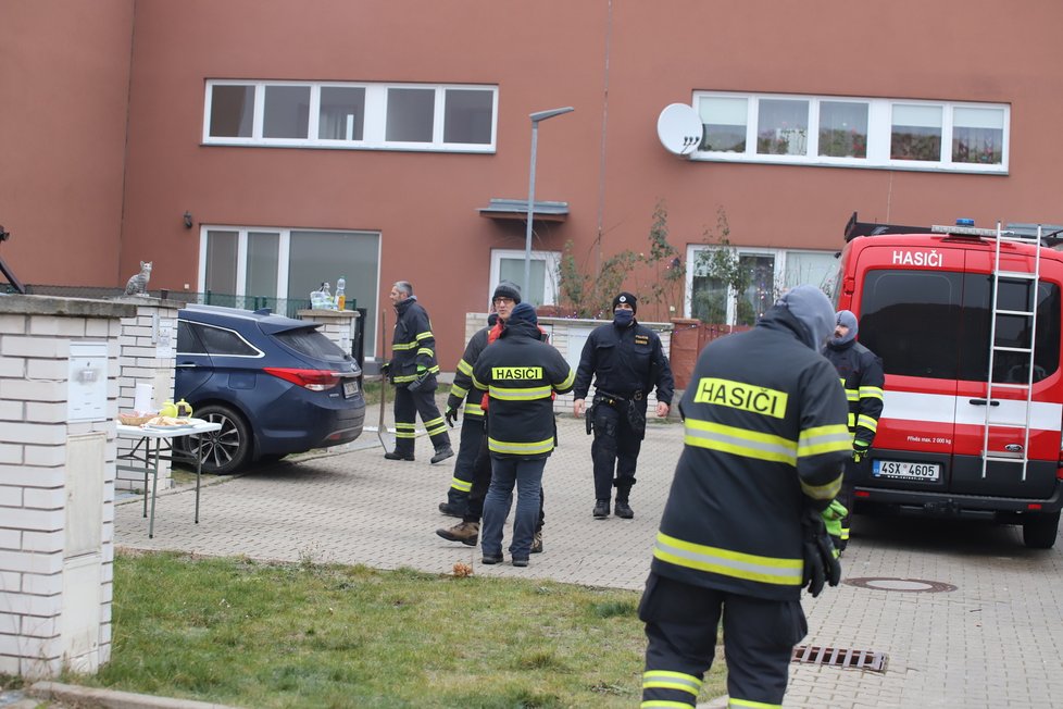 V Jenštejně nedaleko Prahy uštknul jedovatý had osmiletou holčičku. Podle odborníka se může jednat o chřestýše nebo zmiji.  Místní, hasiči i policie od pátku pátrali po něm na zahradách i v domech