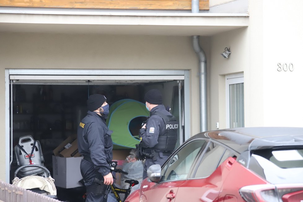 V Jenštejně nedaleko Prahy uštknul jedovatý had šestiletou holčičku. Podle odborníka se může jednat o chřestýše nebo zmiji.  Místní, hasiči i policie po něm od pátku pátrali na zahradách i v domech.