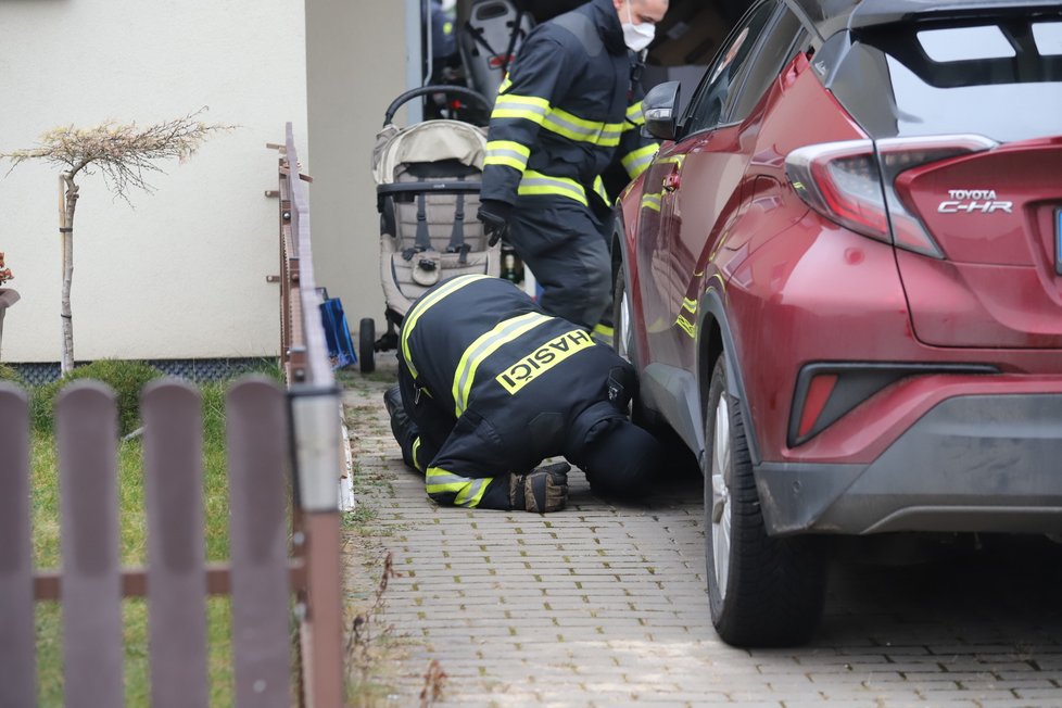 V Jenštejně nedaleko Prahy uštknul jedovatý had osmiletou holčičku. Podle odborníka se může jednat o chřestýše nebo zmiji.  Místní, hasiči i policie od pátku pátrali po něm na zahradách i v domech