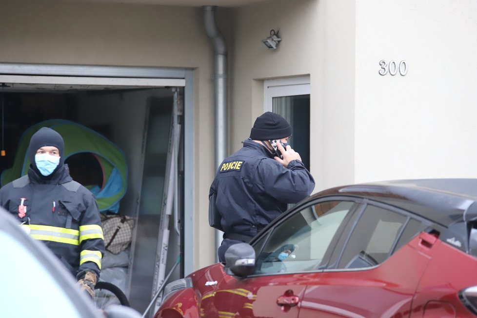 V Jenštejně nedaleko Prahy uštkl jedovatý had osmiletou holčičku. Podle odborníka se může jednat o chřestýše nebo zmiji.  Místní, hasiči i policie od pátku pátrali po něm na zahradách i v domech