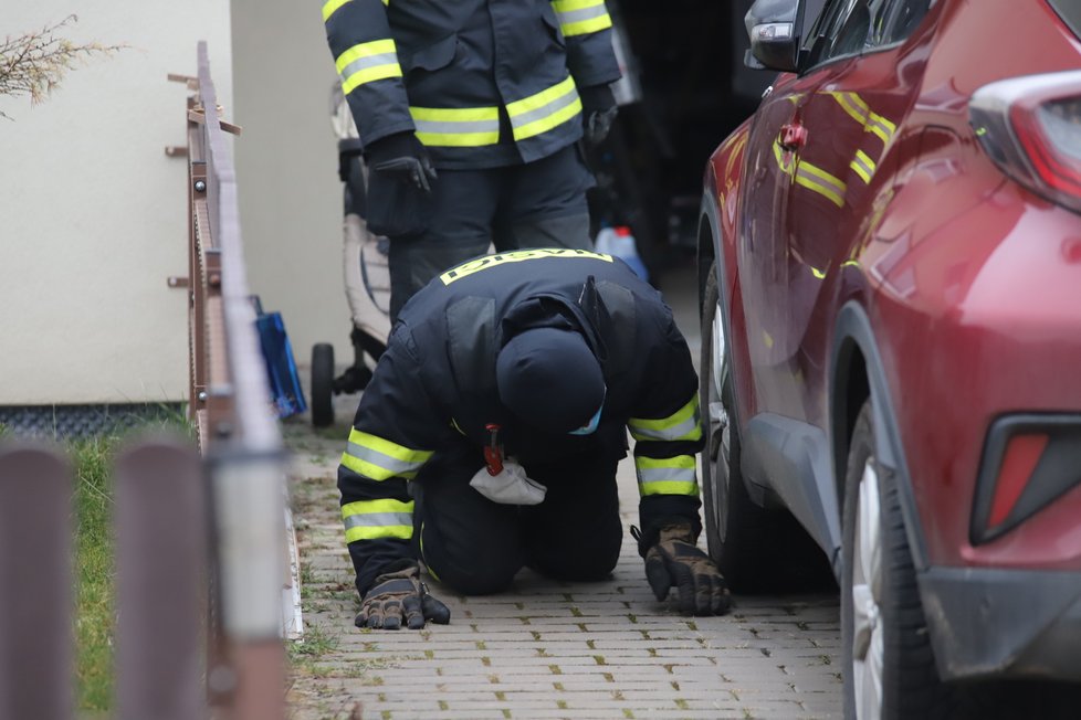 V Jenštejně nedaleko Prahy uštkl jedovatý had osmiletou holčičku. Podle odborníka se může jednat o chřestýše nebo zmiji.  Místní, hasiči i policie od pátku pátrali po něm na zahradách i v domech