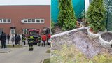 Holčičku (6) u Prahy uštkl jedovatý had: Matka popsala okamžiky hrůzy. Hada zatím nenašli