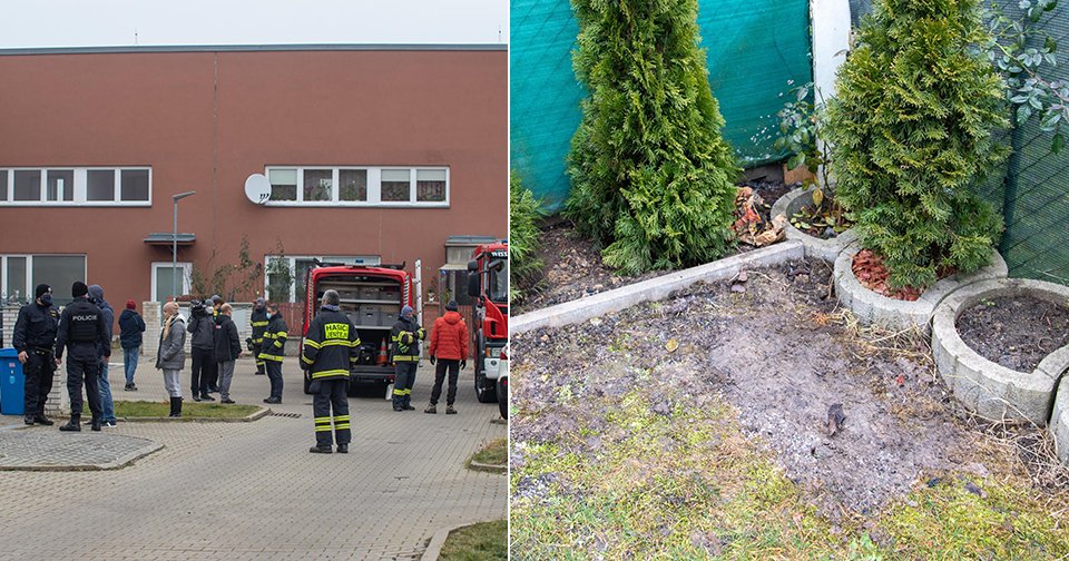 Na Nový rok v Jenštejně na okraji Prahy uštkl jedovatý had šestiletou holčičku.