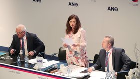 Hejtmanka Jaroslava Pokorná Jermanová (ANO) návrh STAN na jednání krajského zastupitelstva označila za úsměvný