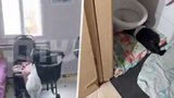 Dvě mrtvé a přes padesát zraněných dětí v ilegálních jeslích: Spaly ve skříních a vedle záchodů!