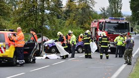 Při nehodě u Jesenice zemřeli tři lidé, další jsou zranění