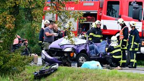 Při srážce dvou osobních aut u Jesenice zemřeli 3 lidé