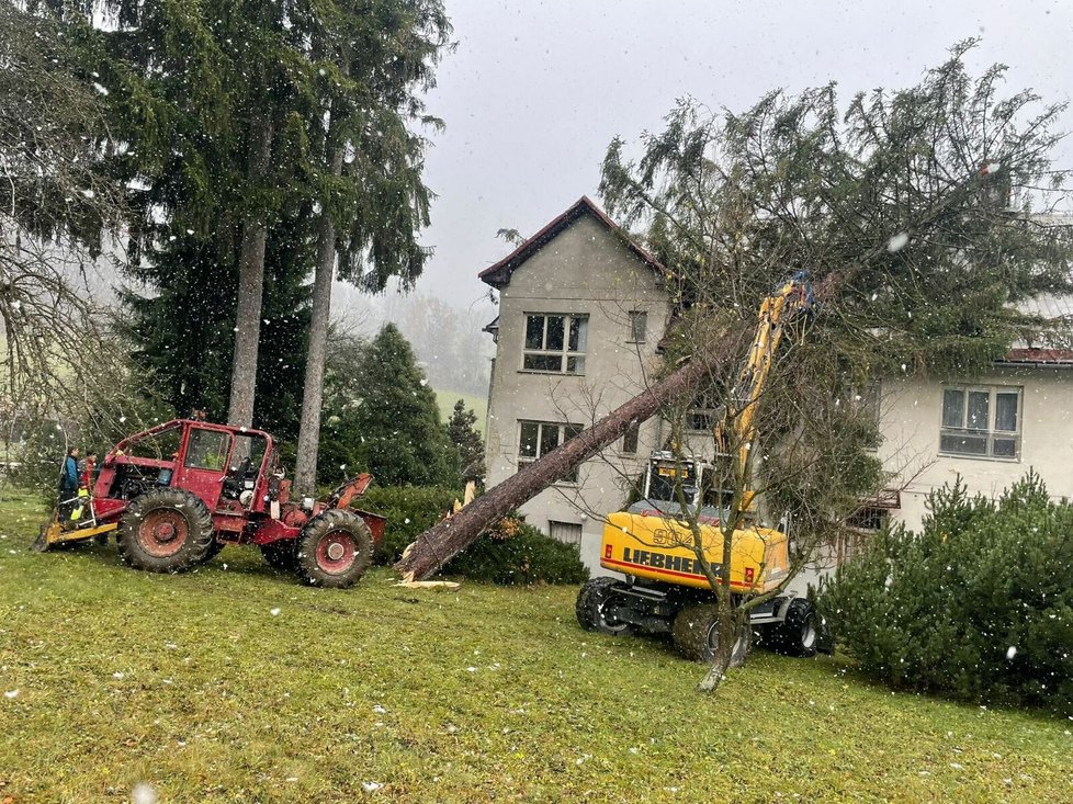 V Jeseníku spadl strom na budovu základní školy (24.11.2023)