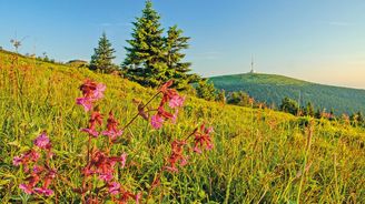 Pěšky hřebenovkou Jeseníků. Druhé nejvyšší pohoří Česka nabízí nádhernou přírodu i panoramata