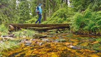 Pěšky hřebenovkou Jeseníků. Druhé nejvyšší pohoří Česka nabízí nádhernou přírodu i panoramata