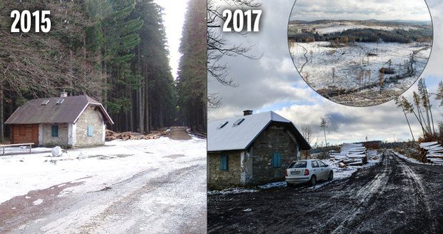 Největší přírodní katastrofa v historii českého lesnictví zasáhla pohoří Nízkého Jeseníku. Před očima mizí tisíce hektarů lesa.