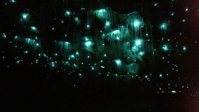 Jeskyně Waitomo na Novém Zélandu