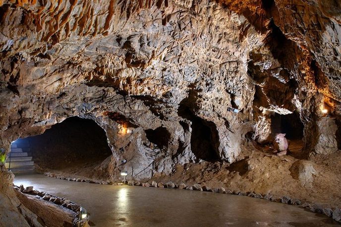 První zdokumentovaní návštěvníci již v 17. století nacházeli ve Výpustku kosti pravěké zvířeny. První zdokumentovaní návštěvníci již v 17. století nacházeli ve Výpustku kosti pravěké zvířeny.