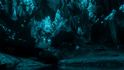 Larvy vydávají díky bioluminiscenci modrozelené světlo. Larvy vydávají díky bioluminiscenci modrozelené světlo.