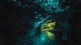 Jeskyně Waitomo se nachází na severním ostrově Nového Zélandu. Oblast je známá díky obrovské populaci světlušek, které žijí na stěnách a jasně září do tmy.