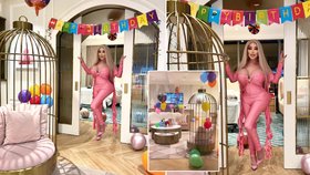 Růžové narozeniny „Barbie“ Alvesové: Na oslavě ženství něco chybělo!
