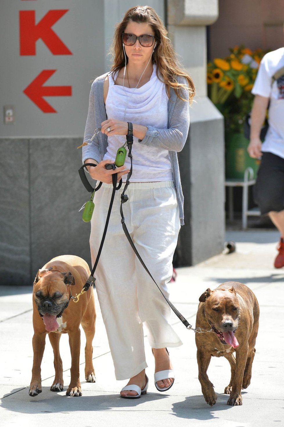 Jessica Biel a její miláčci s elektroobojky. Vlevo jeden z boxerů, vpravo pitbull Tina.