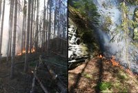 Plameny sužovaly Národní park České Švýcarsko: Hasiči požár zkrotili, způsobil ho zřejmě člověk