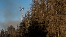 Hasiči zasahovali 18. června 2021 u rozsáhlého požáru lesa v Jetřichovicích na Děčínsku.