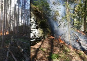 Hasiči zasahovali 18. června 2021 u rozsáhlého požáru lesa v Jetřichovicích na Děčínsku.