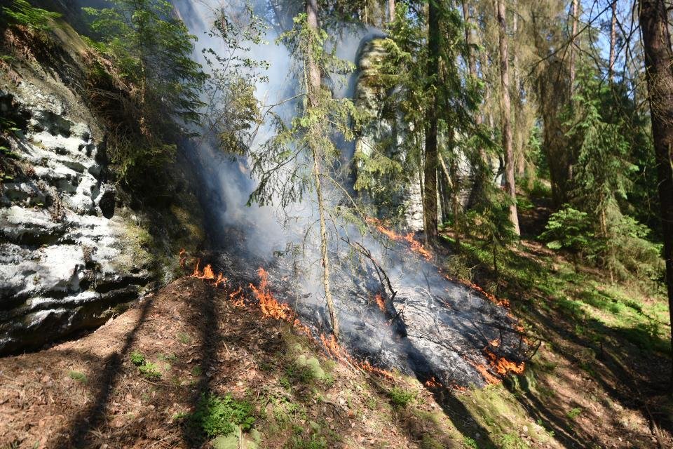 Hasiči zasahovali 18. června 2021 u rozsáhlého požáru lesa v Jetřichovicích na Děčínsku.