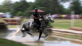 V Brně se bude o víkendu konat 20. ročník Mezinárodního Policejního mistrovství České republiky 2017 v jezdectví.