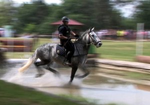 V Brně se bude o víkendu konat 20. ročník Mezinárodního Policejního mistrovství České republiky 2017 v jezdectví.