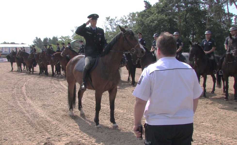 V Brně se bude o víkendu konat 20. ročník Mezinárodního Policejního mistrovství České republiky 2017 v jezdectví.