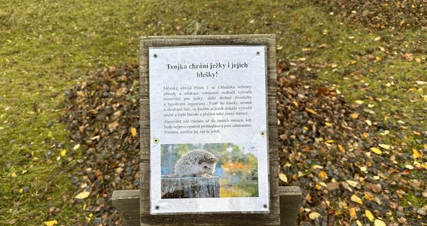 Třetí plzeňský obvod zřídil několik zimovišť pro ježky.