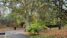 Park Jezerka čeká revitalizace. Nejdříve se opraví jezírko a jeho okolí