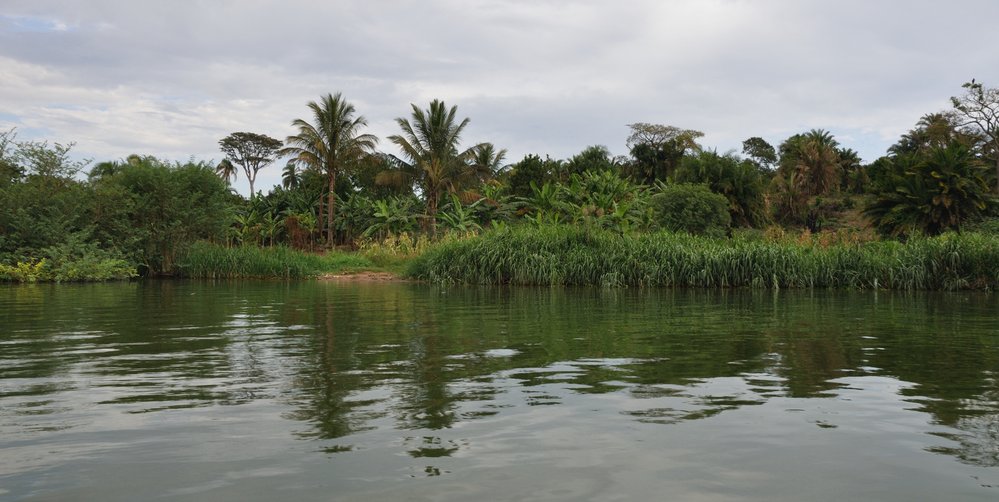 Viktoriino jezero také Victoria Nyanza nebo Ukerewe (anglicky Lake Victoria) je jezero ve Východní Africe na území Tanzanie (51 %), Keni (6 %) a Ugandy (43 %). Je druhé největší sladkovodní jezero na Zemi po Hořejším jezeru v Severní Americe a největší jezero v Africe.