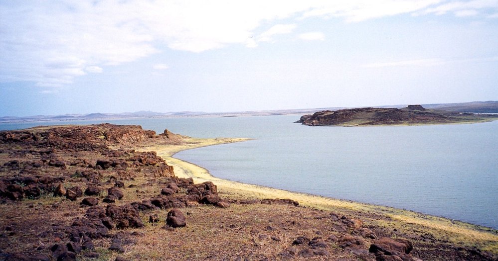 Turkana dříve nazývané Rudolfovo jezero (anglicky Lake Turkana) je bezodtoké mírně slané jezero ve Východní Africe v Keni a severním koncem zasahující do Etiopie
