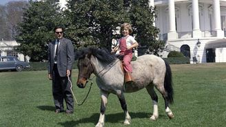 Živý kůň v Bílém domě? Ale ano, za slavného prezidenta JFK ho tam měla jeho dcera Caroline