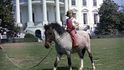Za prezidenta J. F. Kennedyho patřil mezi domácí mazlíčky v Bílém domě i kůň.