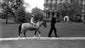 Za prezidenta J. F. Kennedyho patřil mezi domácí mazlíčky v Bílém domě i kůň.