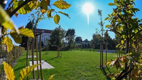 Park na jaře rozkvete, byly totiž vysazeny téměř čtyři desítky nových stromů.