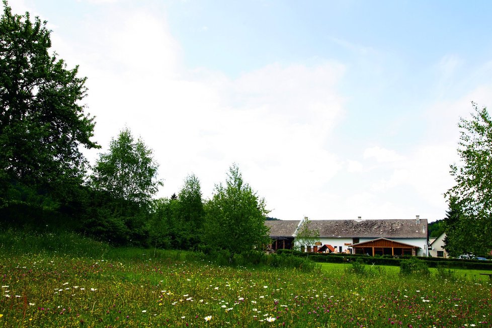 Restaurace U Štěpána je v krásné šumavské přírodě.