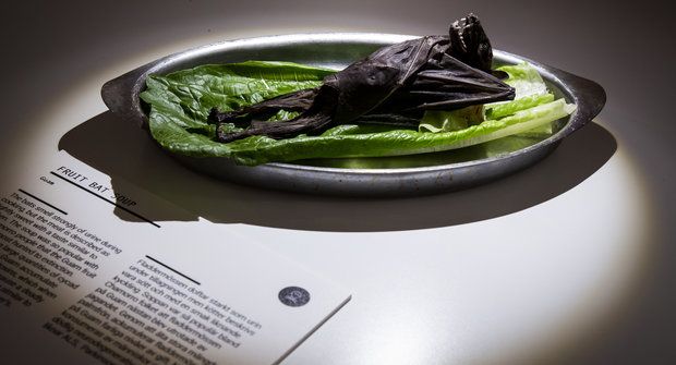 Okno do světa: Smažená kobylka nebo morče? Muzeum nechutností a jídelníček budoucnosti
