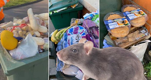Lidé obchody vykupovali zbytečně: Zásoby jídla končí v popelnicích, města se hemží potkany