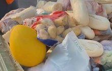 Unikátní průzkum v Brně: Do popelnice každý vyhodí 37,4 kg jídla