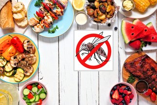 Potraviny jako repelent: Porazte hladový hmyz vlastním plným žaludkem, a dokonce si pochutnejte