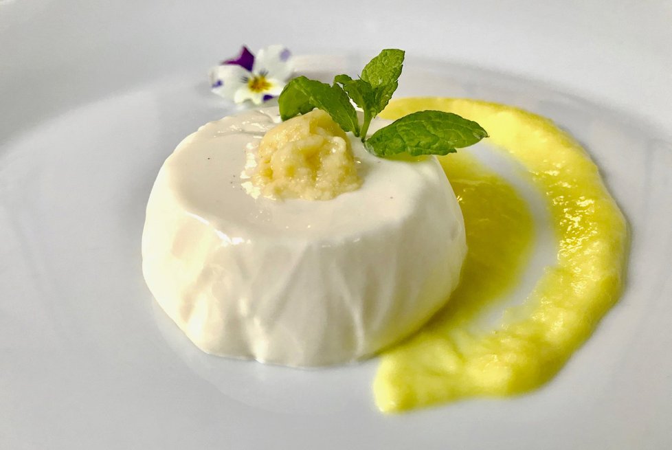 Panna cotta s durianovým krémem