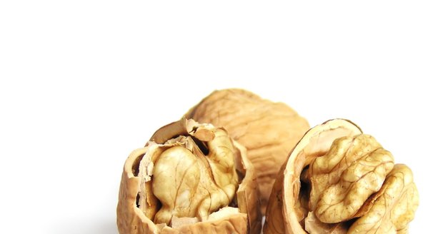 Konzumace vlašských ořechů může snížit riziko srdečních chorob díky svému obsahu zdravých tuků a antioxidantů.