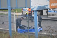 Na Liberecku zemřela chodkyně: Mimo přechod ji srazila dvě auta