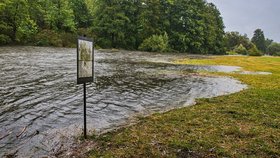 Stoupající hladina řeky Jihlavy (13.9.2024)