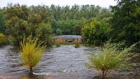 Stoupající hladina řeky Jihlavy (13.9.2024)