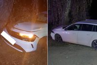 Řidič na Jihlavsku vlétl do stromu: Zavolal policisty, pak jim utekl