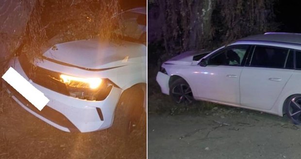 Řidič na Jihlavsku narazil do stromu, zavolal policii a z místa utekl.