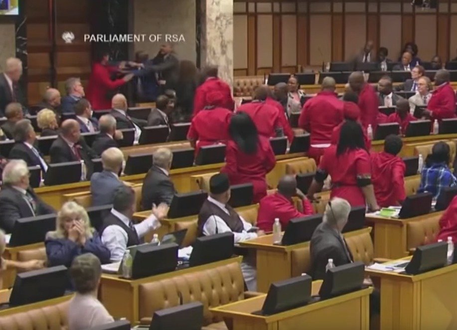 Poslanci v jihoafrickém parlamentu si problém vyříkali ručně (6.11.2018).